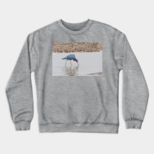 Little Blue Heron Foraging Crewneck Sweatshirt